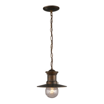 Maritime One Light Outdoor Pendant in Hazelnut Bronze (45|42007/1)