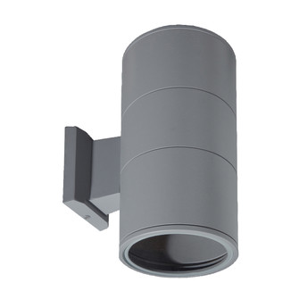 Outdoor Two Light Outdoor Wall Mount in Grey (40|19205-014)