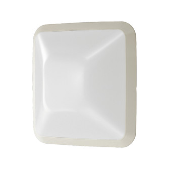 Excell One Light In Wall in White (40|23912-014)