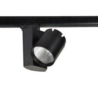 TRACKHEAD,LED,15W,40K,BM38,BLK in Black (40|32985-40-01)
