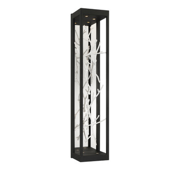 Aerie LED Wall Sconce in Silver-Black Mix (40|38639-029)
