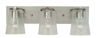 Mercer Three Light Bath in Satin Pewter w/Polished Nickel (8|4853 SP/PN/CS)