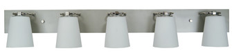 Mercer Five Light Bath in Satin Pewter w/Polished Nickel (8|4855 SP/PN/WH)