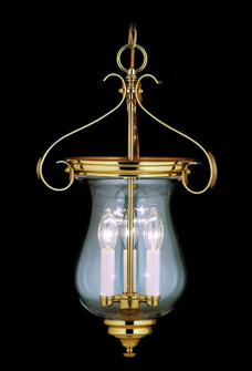 Jamestown Three Light Foyer Chandelier in Polished Brass (8|7573 PB)