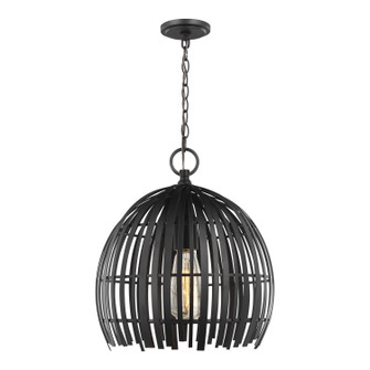 Hanalei One Light Pendant in Midnight Black (454|6522701-112)