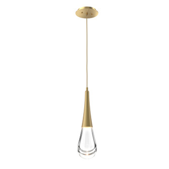 Raindrop LED Pendant in Gilded Brass (404|LAB0078-01-GB-C-C01-L1)