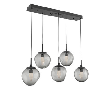 Aster LED Pendant in Matte Black (404|PLB0066-05-MB-GS-C01-L1)