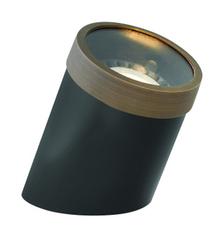 Well Light LED Flat Top in Matte Bronze (13|1598MZ-FT)