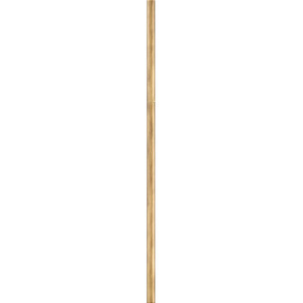 Stem Accessory Stem in Heritage Brass (13|6037HB)