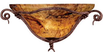 Vine One Light Wall Sconce in Bark (33|3496BA/PS08)