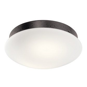 Ried LED Fan Light Kit in Anvil Iron (12|380356AVI)