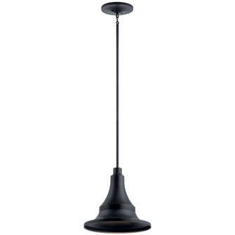 Hampshire One Light Outdoor Pendant in Textured Black (12|59058BKT)