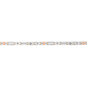 6Tl Dry Tape 24V LED Tape Light in White Material (Not Painted) (12|6T1100H27WH)