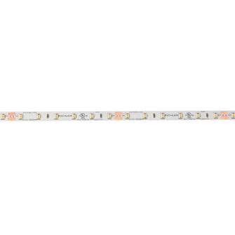 6Tl Dry Tape 24V LED Tape Light in White Material (Not Painted) (12|6T116S30WH)