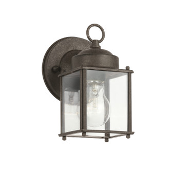 One Light Outdoor Wall Mount in Tannery Bronze (12|9611TZ)