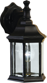 Chesapeake One Light Outdoor Wall Mount in Black (12|9776BK)