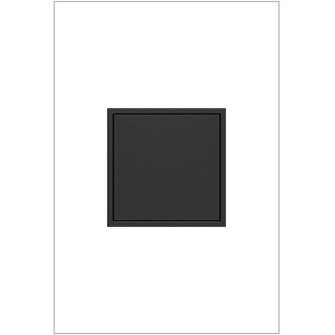 adorne 15A One-Gang Pop-Out Outlet in Graphite (246|ARPTR151GG2)