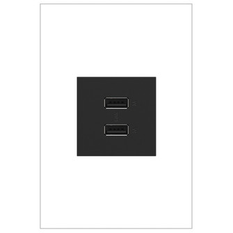 Adorne USB Type-A/A Outlet Module in Graphite (246|ARUSB2AA6G4)