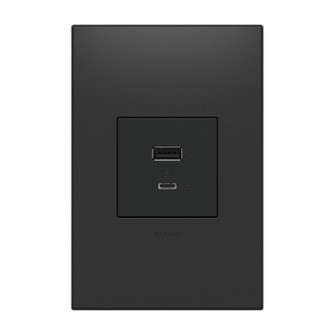 Outlets Usb, Hybrid, Outlet, A/C Usb Outlet in Graphite (246|ARUSB2AC6G4)