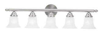 Neptune Five Light Bath Vanity in Brushed Nickel (107|1065-91)