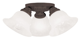 Edgemont Three Light Ceiling Mount in Bronze (107|1529-07)