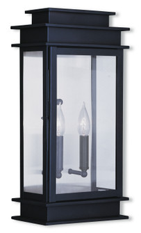 Princeton Two Light Outdoor Wall Lantern in Bronze w/ Polished Chrome Stainless Steel (107|2018-07)