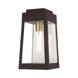 Oslo One Light Outdoor Wall Lantern in Bronze w/ Antique Brass and Polished Chrome Stainless Steel (107|20852-07) Oslo One Light Outdoor Wall Lantern in Bronze w/ Antique Brass and Polished Chrome Stainless Steel (107|20852-07)