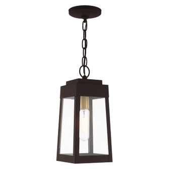 Oslo One Light Outdoor Pendant in Bronze w/ Antique Brass (107|20854-07)