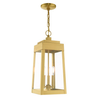 Oslo Three Light Outdoor Pendant in Satin Brass (107|20857-12)