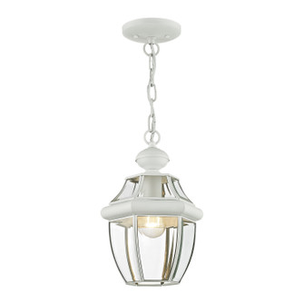 Monterey One Light Outdoor Pendant in White (107|2152-03)