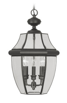 Monterey Three Light Outdoor Pendant in Black (107|2355-04)