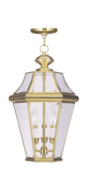 Georgetown Three Light Outdoor Pendant in Polished Brass (107|2365-02)