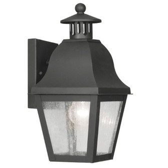 Amwell One Light Outdoor Wall Lantern in Black (107|2550-04)
