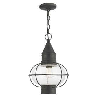 Newburyport One Light Outdoor Pendant in Charcoal (107|26906-61)