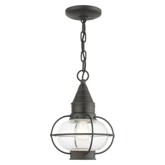 Newburyport One Light Outdoor Pendant in Charcoal (107|26910-61)