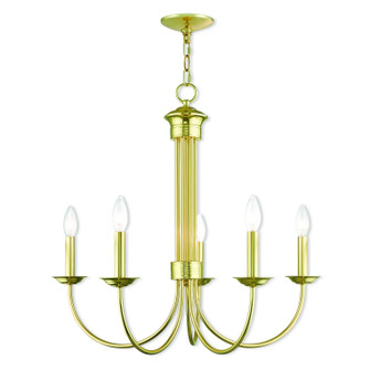 Estate Five Light Chandelier in Polished Brass (107|42685-02)