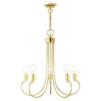 Bari Five Light Chandelier in Polished Brass (107|42925-02)