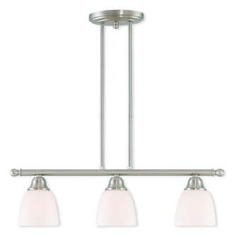 Somerville Three Light Linear Chandelier in Brushed Nickel (107|53854-91)