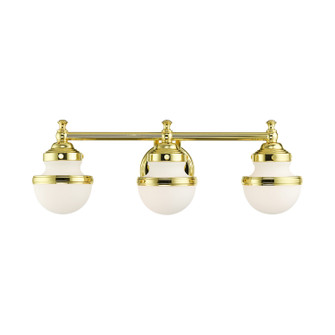 Oldwick Three Light Vanity in Polished Brass (107|5713-02)