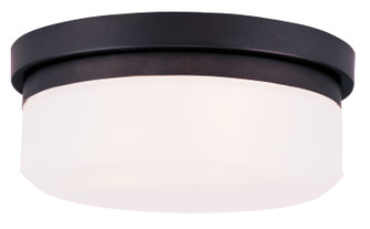 Stratus Two Light Wall Sconce/Ceiling Mount in Bronze (107|7391-07)