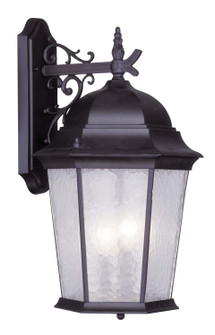 Hamilton Three Light Outdoor Wall Lantern in Bronze (107|7565-07)