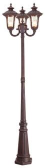 Oxford Three Light Outdoor Post Mount in Hand Applied Imperial Bronze (107|7666-58)