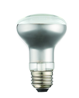 Case of 60 Bulbs Filament LED Bulbs in Clear Glass (107|960711X60)