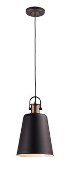 Sedona One Light Pendant in Oil Rubbed Bronze / Antique Brass (16|10085OIAB)
