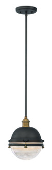 Portside One Light Outdoor Pendant in Oil Rubbed Bronze / Antique Brass (16|10184OIAB)