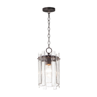 Warren One Light Pendant in Dark Bronze (16|21831AGDBZ)