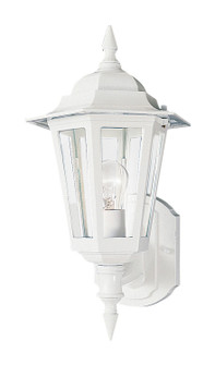 Builder Cast One Light Outdoor Wall Lantern in White (16|3000CLWT)