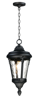 Sentry One Light Outdoor Hanging Lantern in Black (16|3058WGBK)