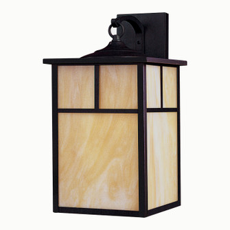 Coldwater One Light Outdoor Wall Lantern in Burnished (16|4054HOBU)