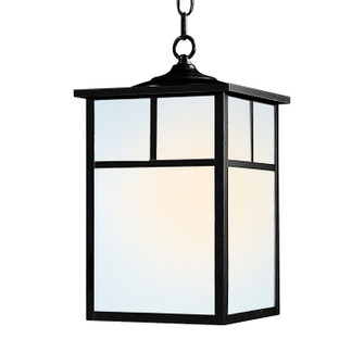 Coldwater One Light Outdoor Hanging Lantern in Black (16|4058WTBK)